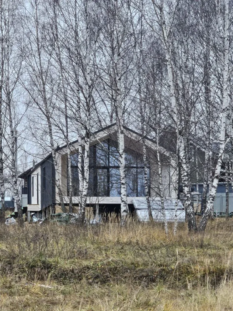 Современный загородный дом среди берёз
